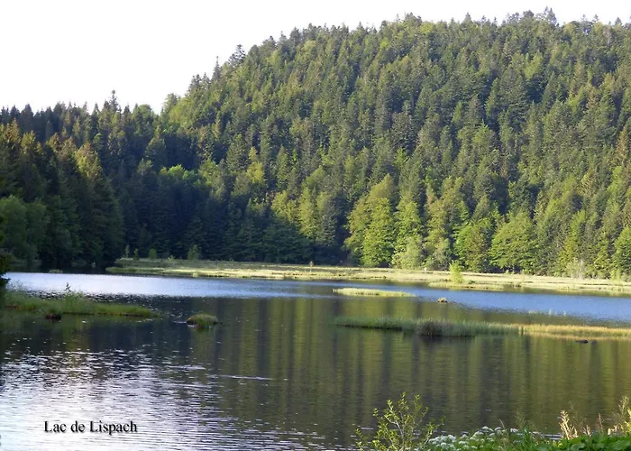 L'obresse Σαλέ La Bresse